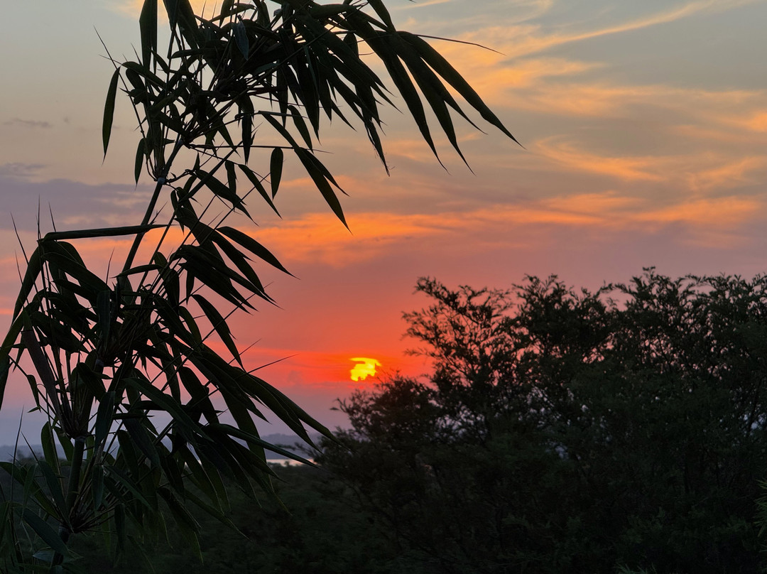 Murchison Falls Bamboo Village主图