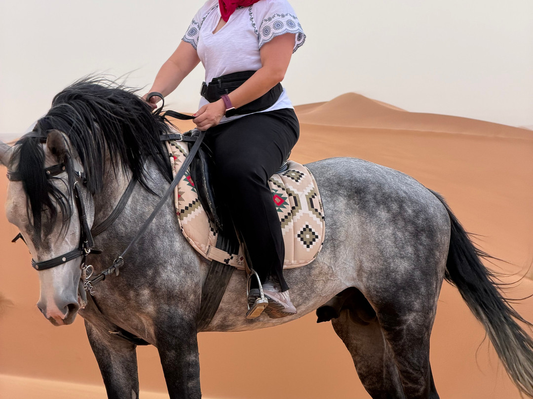 Merzouga Horse Riding-Hassilabied必去景点