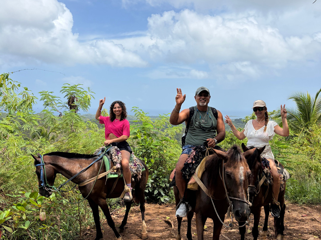 Booking Adventures-Sabana de la Mar必去景点