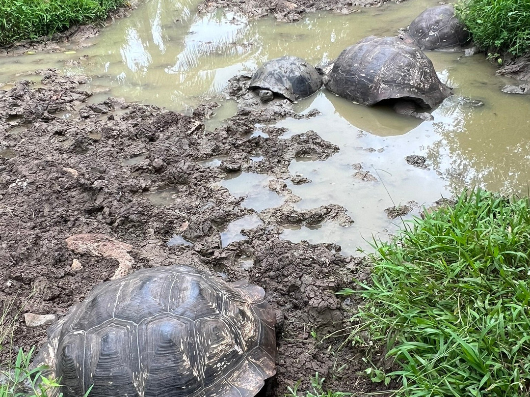 Reserva Galápagos Frontier-圣克鲁斯必去景点