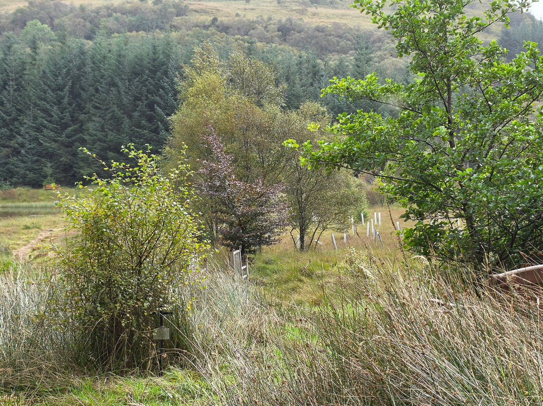 Highland Titles Nature Reserve-Duror必去景点