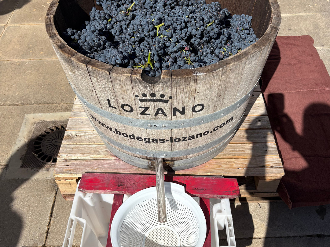 Bodegas Lozano-Leza必去景点