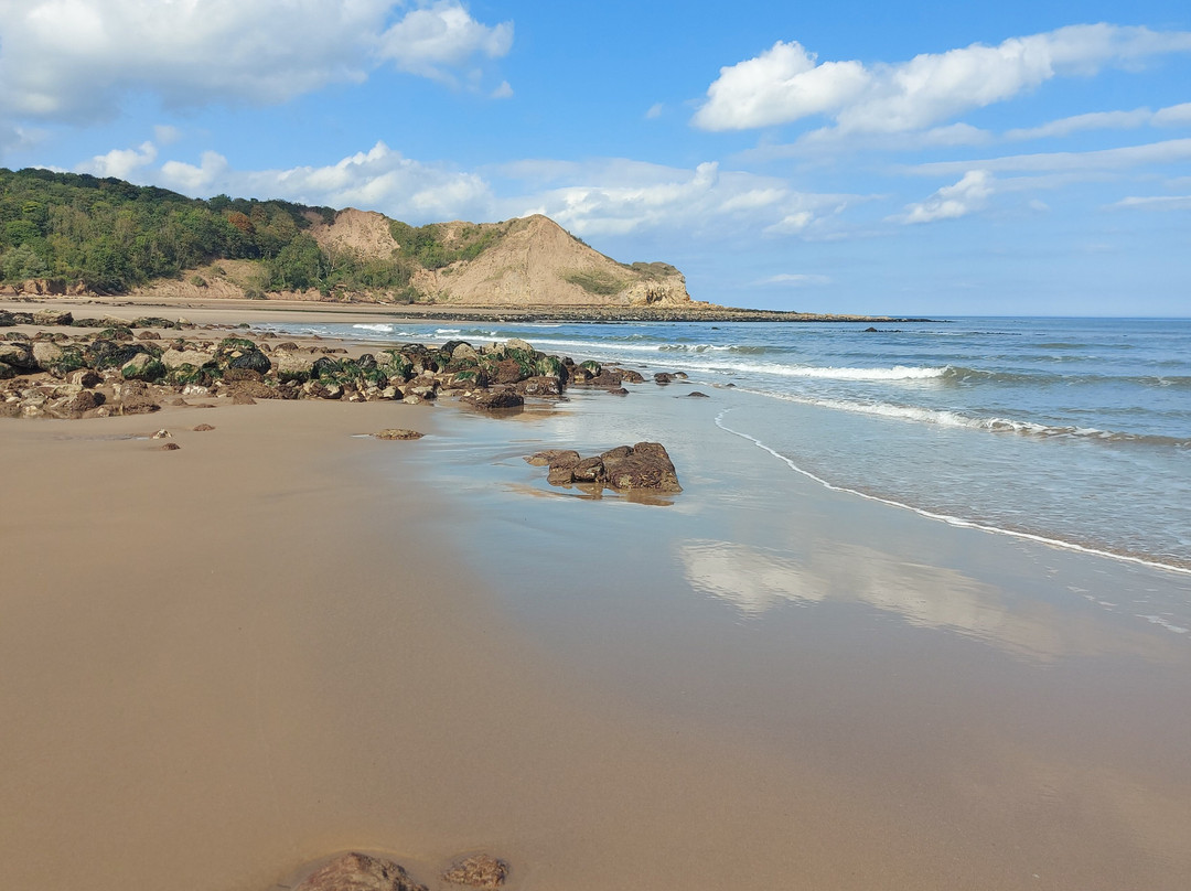 Scarborough Surf School-斯卡伯勒必去景点