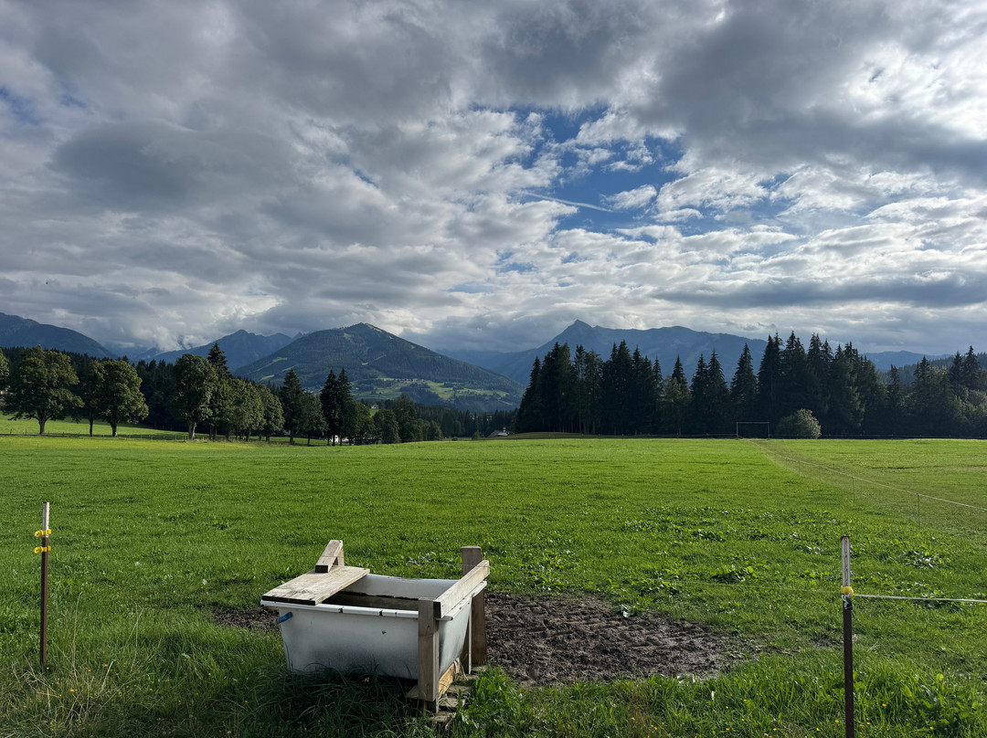 Eispalast Dachstein-阮绍必去景点