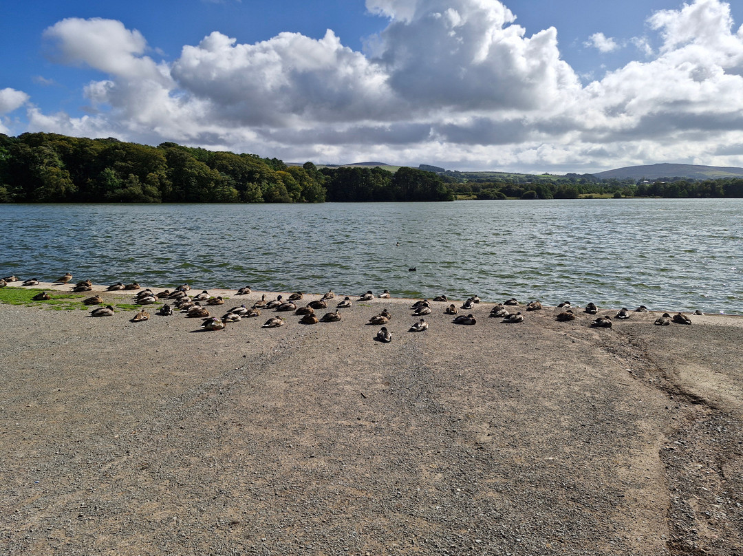 Talkin Tarn Park-卡莱尔必去景点