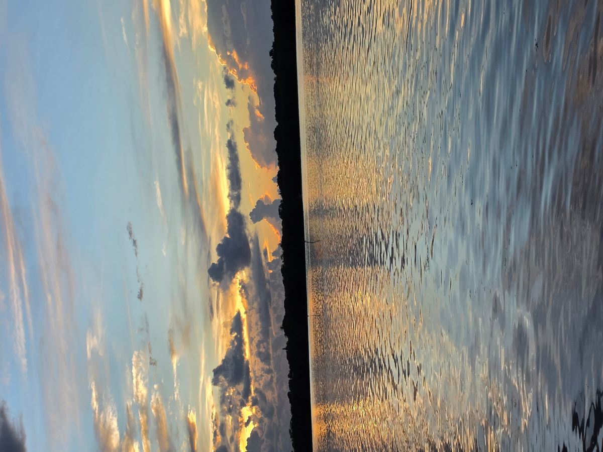 海湾景观水上度假村-旅行者
