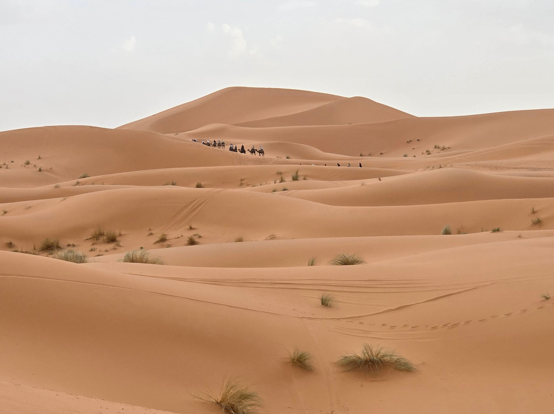 Loud Sahara Day Tours-扎古拉必去景点