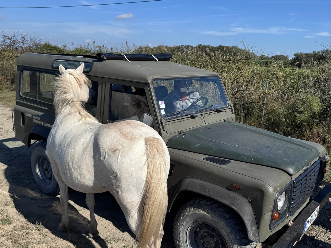 Safari Karine Cœur de Camargue-Montcalm必去景点