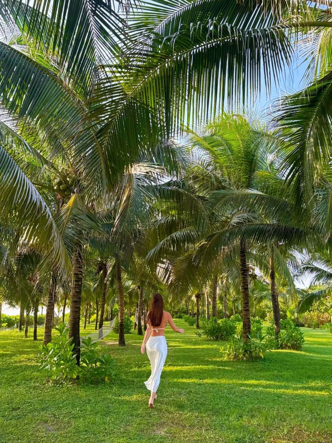 Ana Mandara Cam Ranh-旅行者