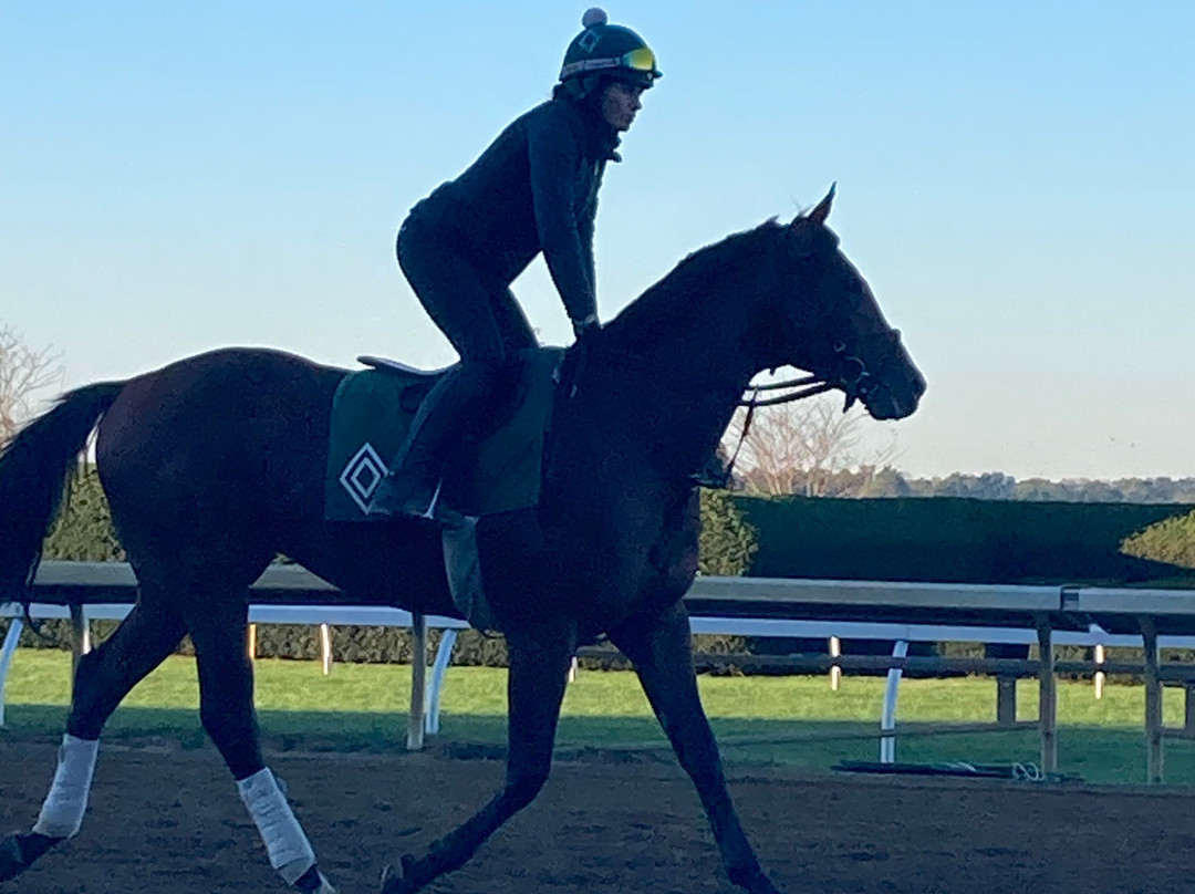 Keeneland-列克星敦必去景点