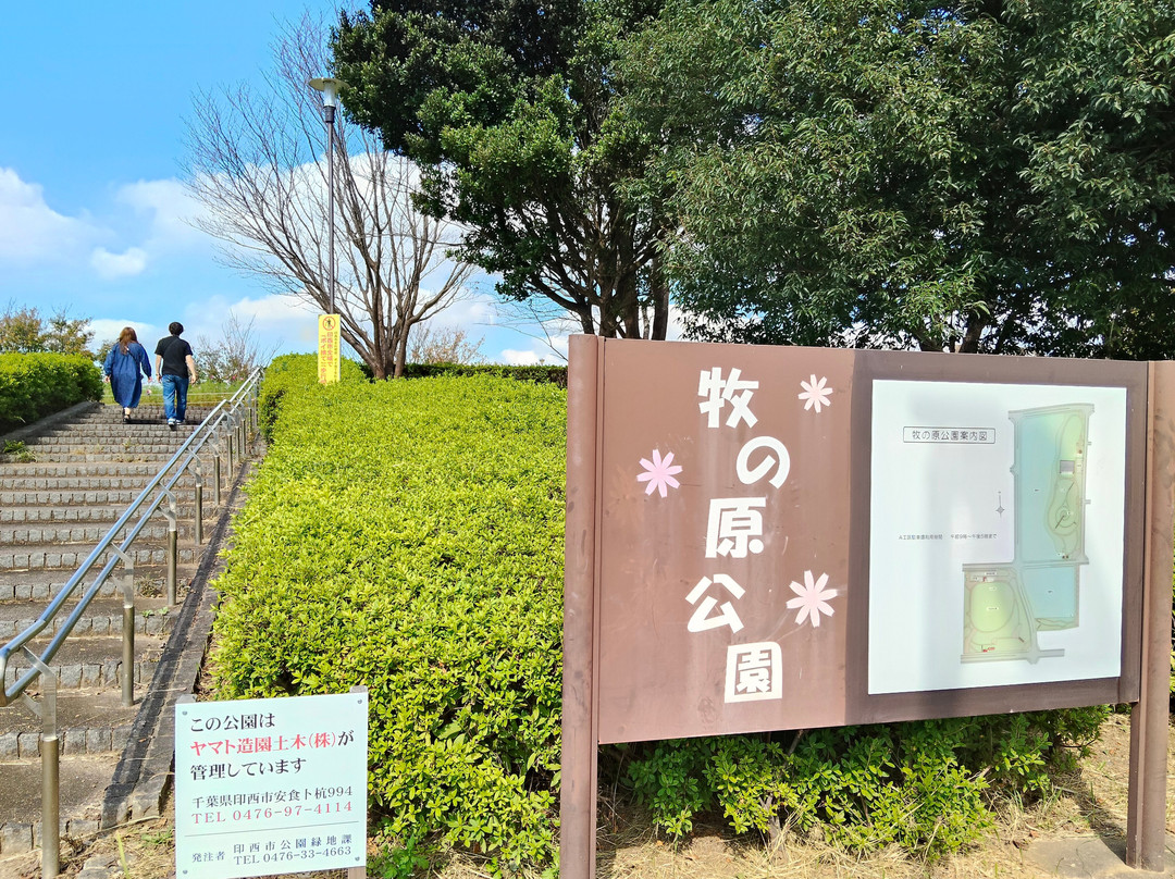 Makinohara Park-印西市必去景点