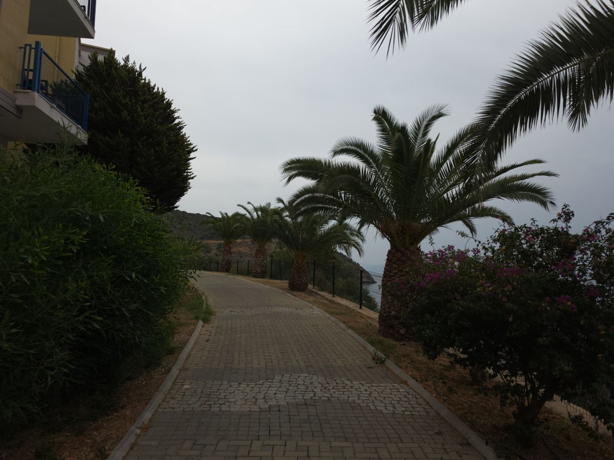 阿里亚克拉罗斯海滩及Spa度假村 - 全包24小时-旅行者