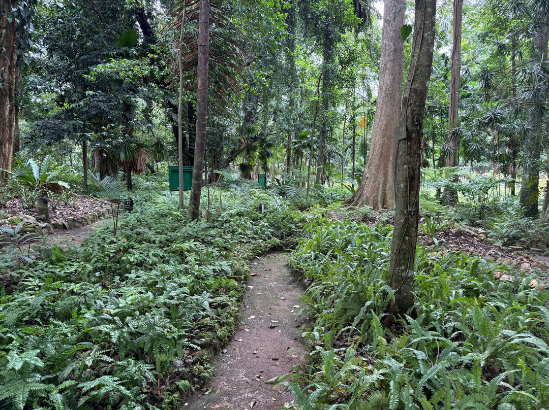 Royal Botanic Gardens Peradeniya-康提必去景点