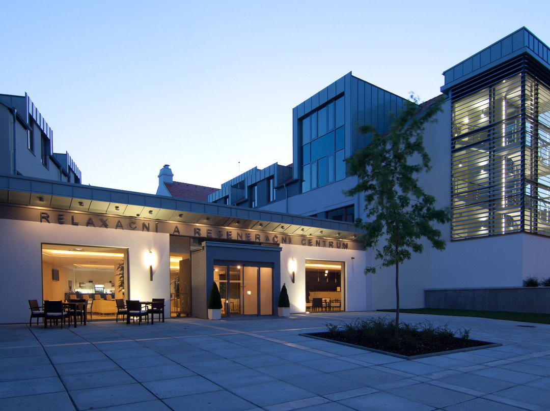 South Bohemian Region酒店住宿-Wellness Hotel Diamant