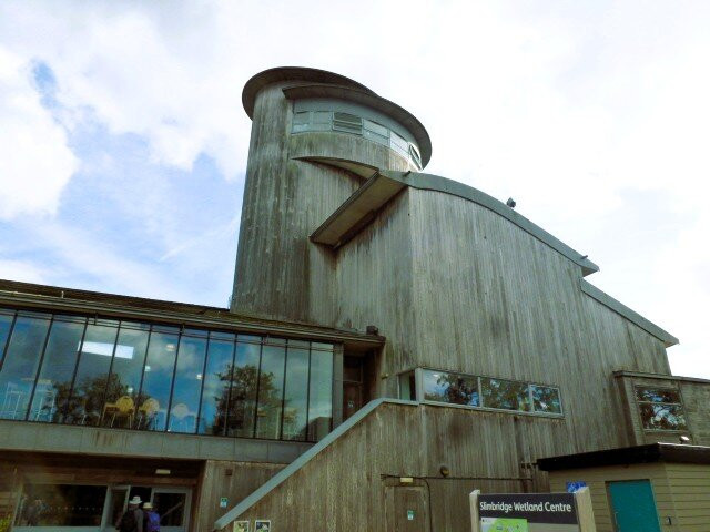 WWT Slimbridge Wetland Centre-Slimbridge必去景点