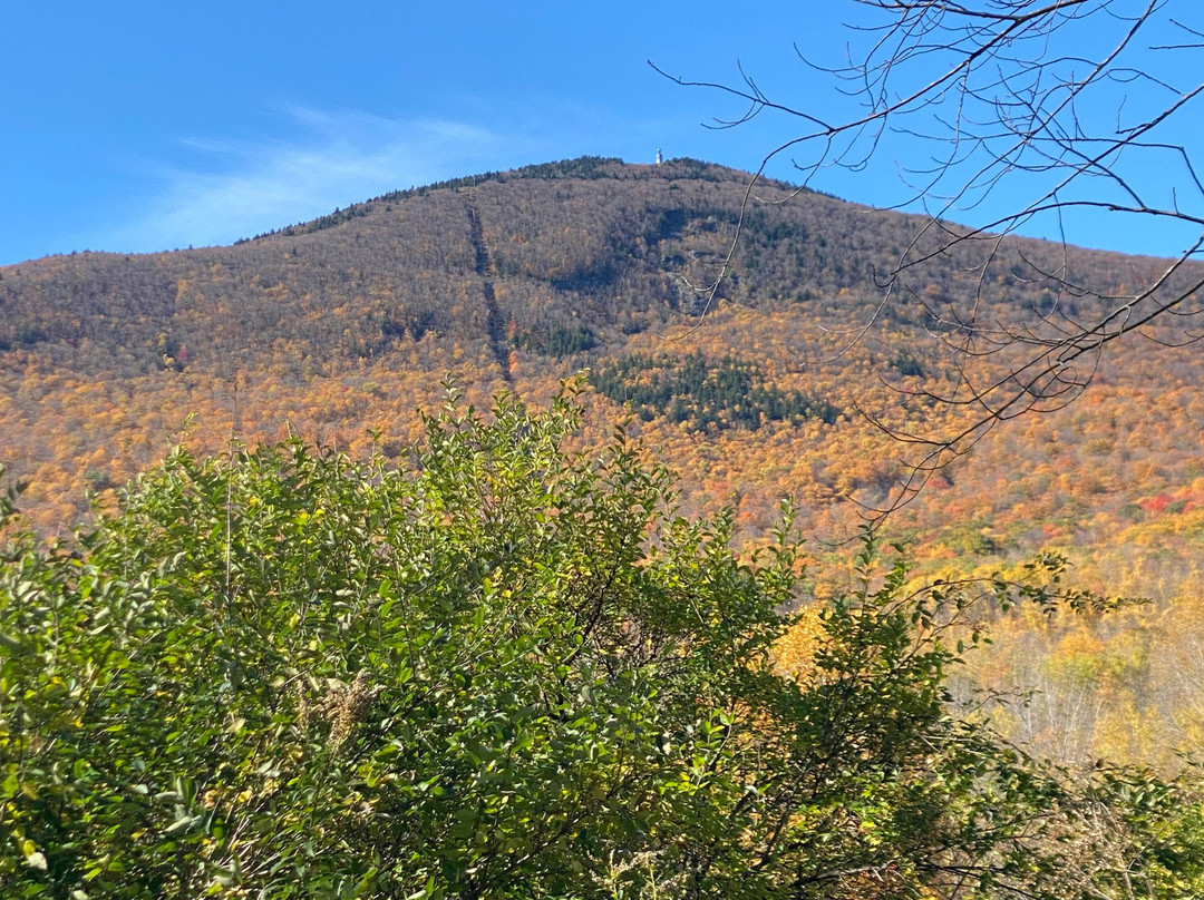 Greylock Glen-Adams必去景点
