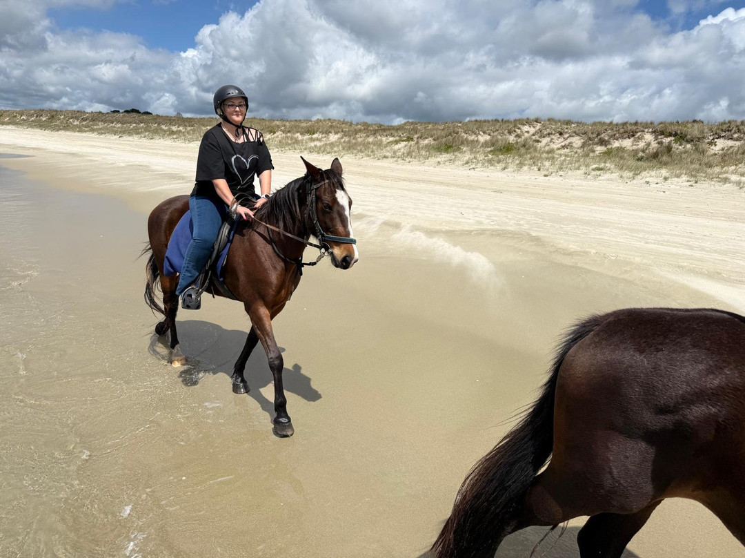 Waipu Horse Adventures-璜加雷必去景点