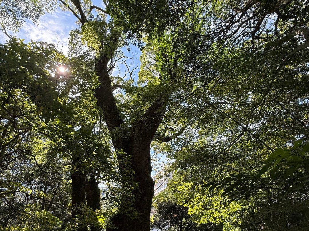 来宫神社-热海市必去景点