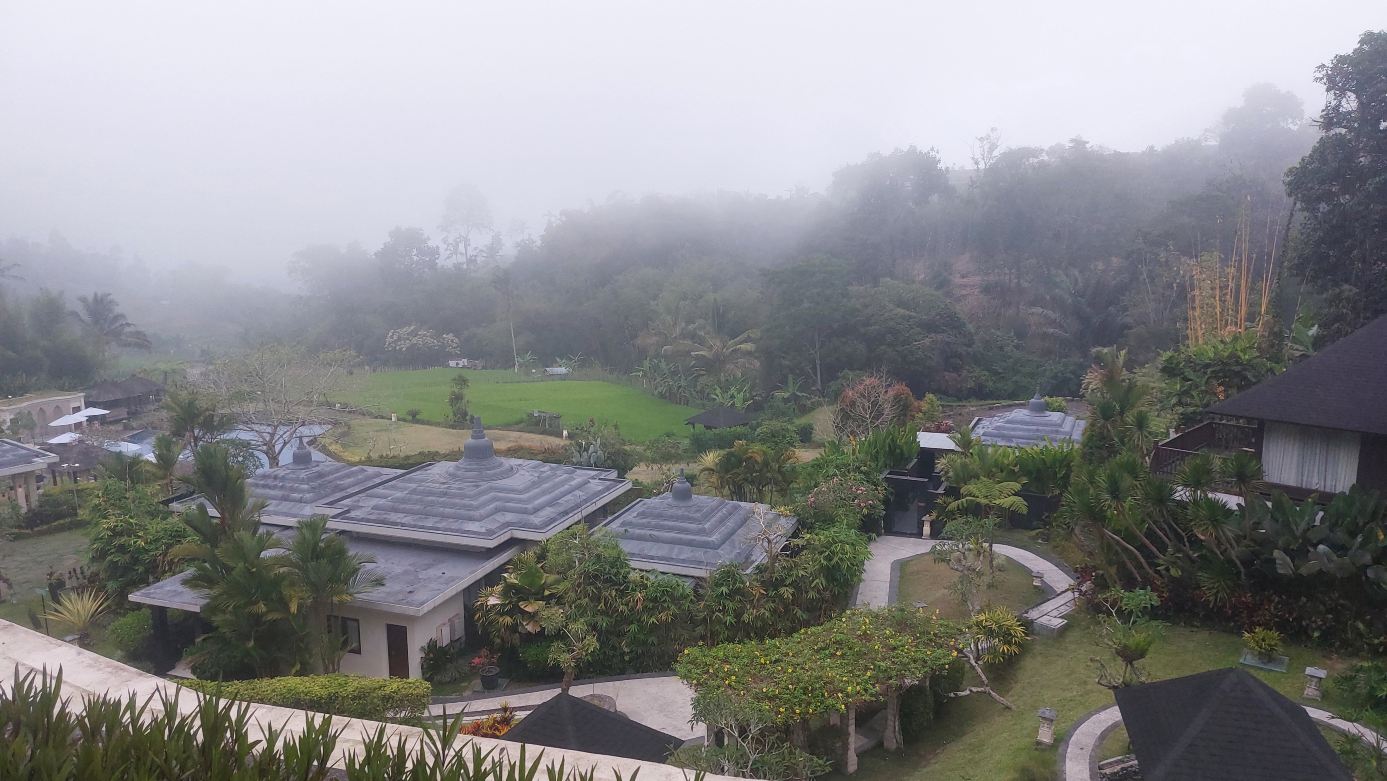 巴厘岛萨拉纳姆巴土利地鸿居酒店-旅行者