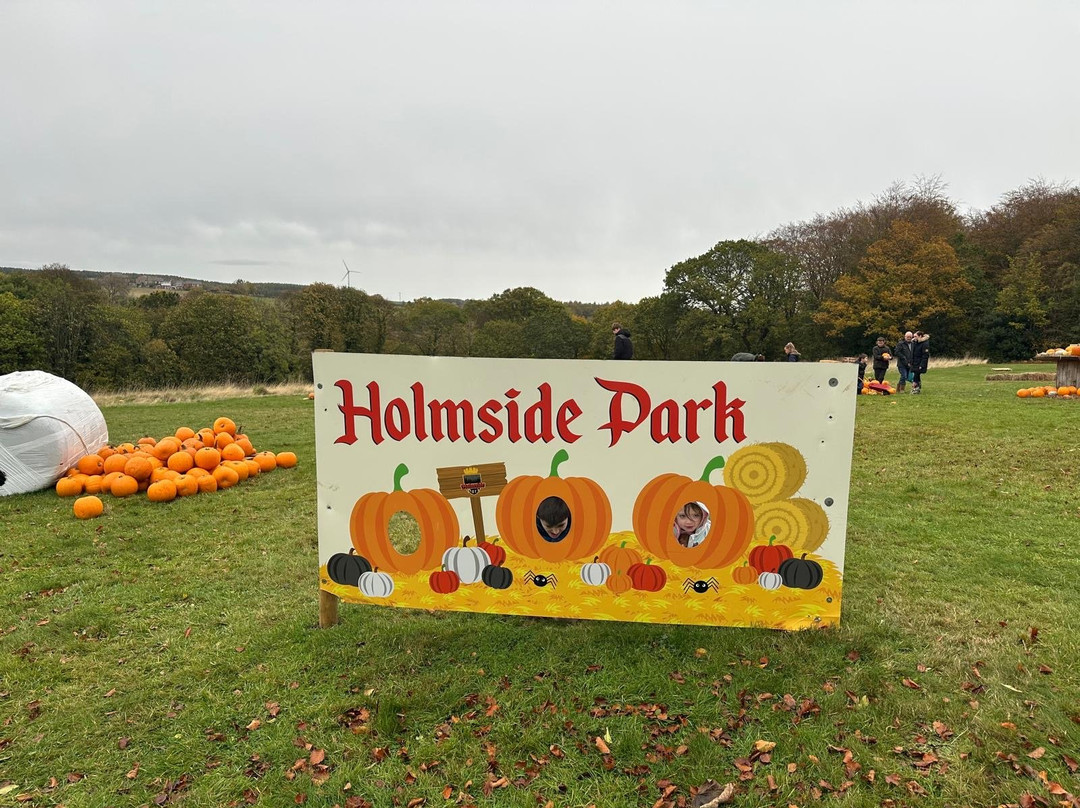 Holmside Park-Edmondsley必去景点