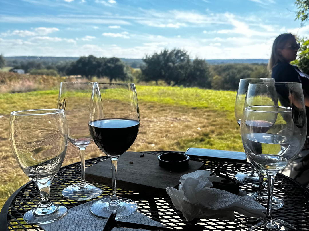 Valley Mills Vineyards-韦科必去景点