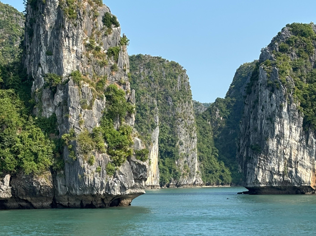 Cat Ba Ocean Cruises-广宁省必去景点