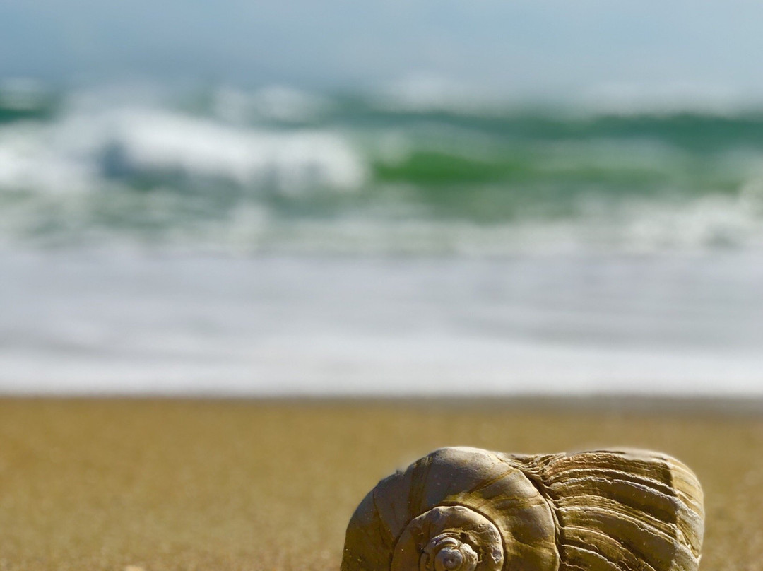 Cape Point Beach-Hatteras Island必去景点
