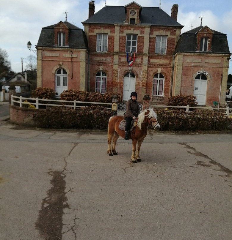 Haras du Manoir景点图片