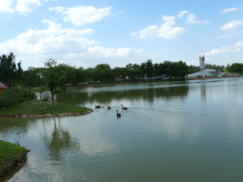 海淀公园景点图片