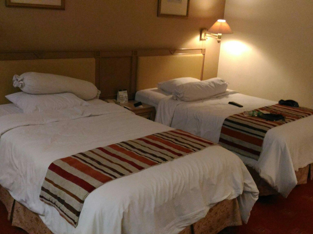 提亚拉梅丹会议中心酒店