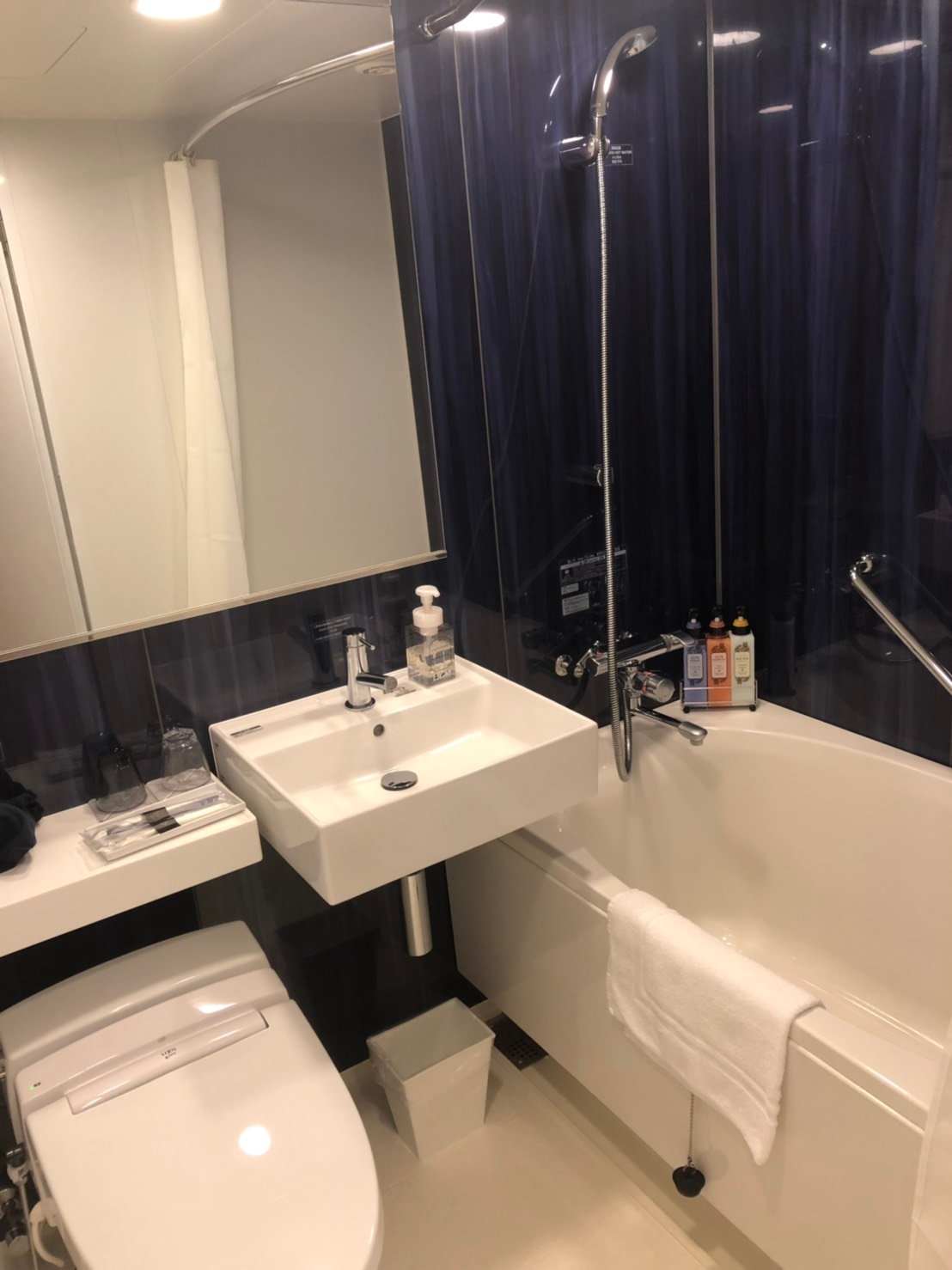 Daiwa Roynet Hotel Shimbashi-浴室