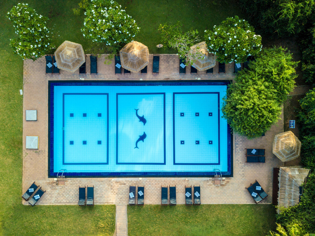 锡吉里亚酒店住宿-茶花酒店及水疗中心