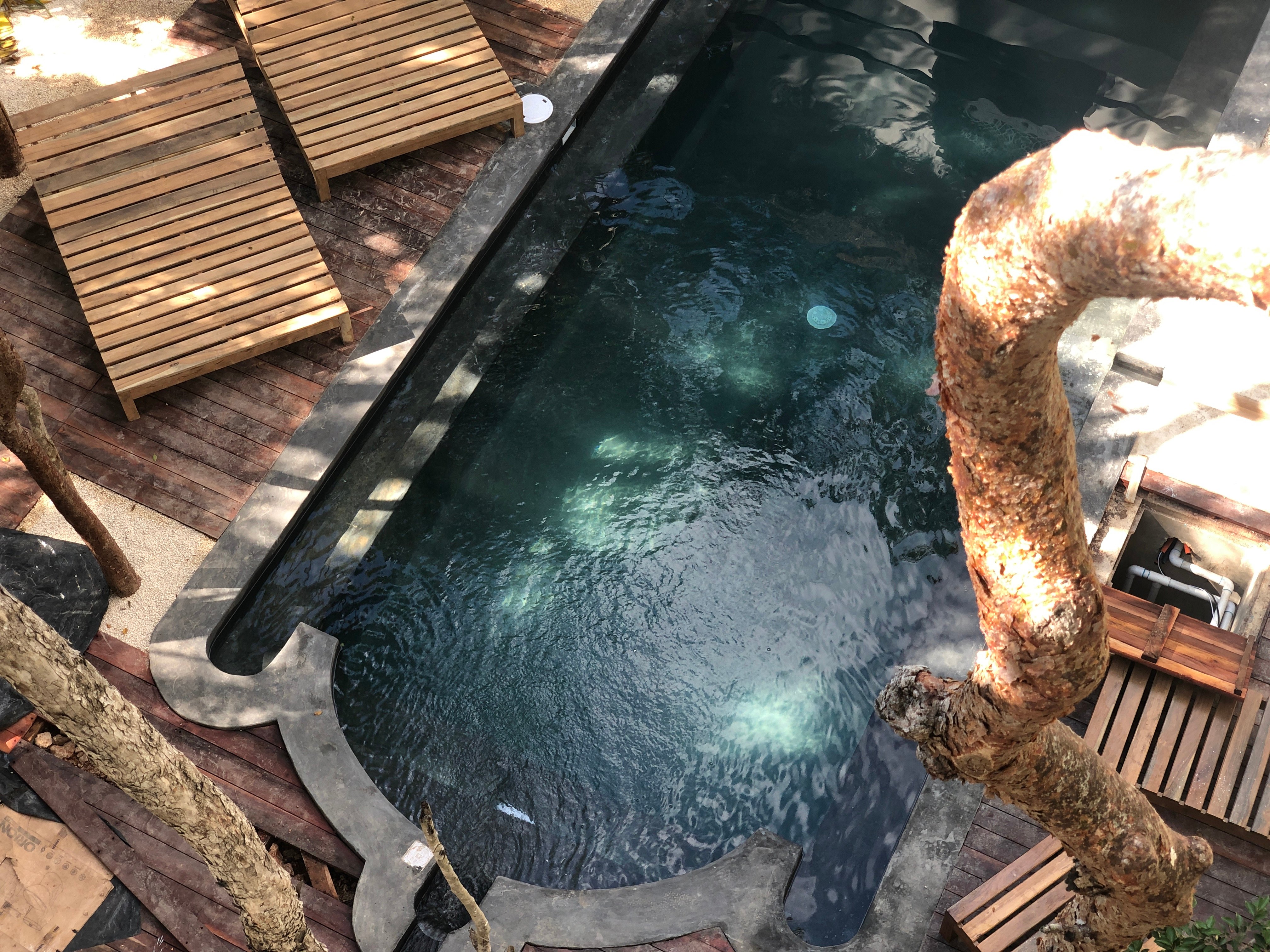 Ambre & Epices Jungle Hotel & Spa-官方
