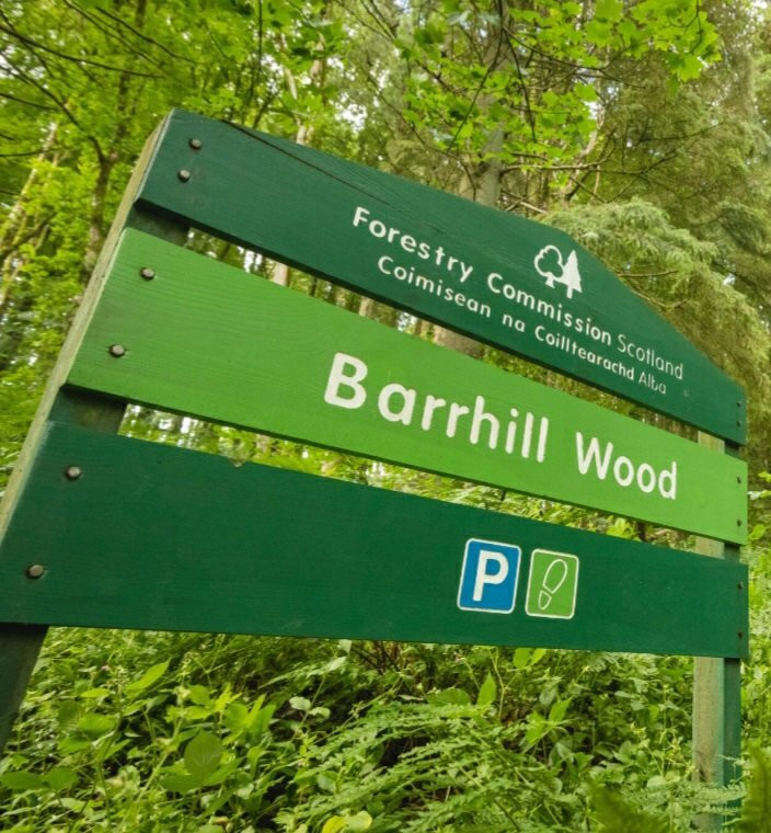 Barrhill Woods景点图片