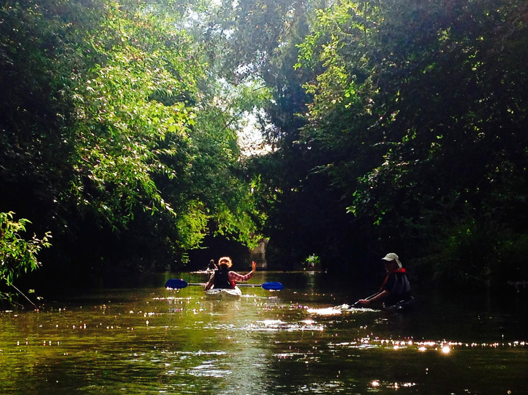 Oxford Kayak Tours景点图片