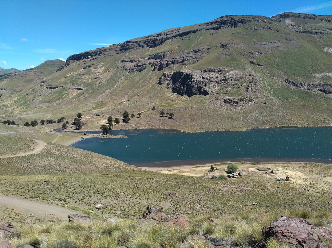 Laguna Hualcupen景点图片