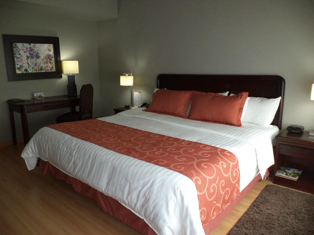 Hotel Internacional La Triada