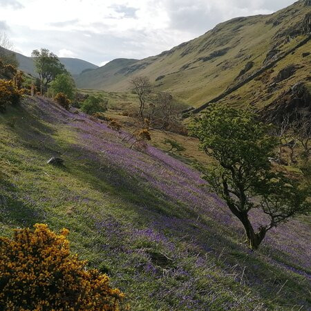 Rannerdale Knotts景点图片