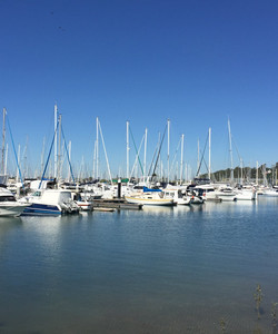 Manly Harbour Village景点门票图片