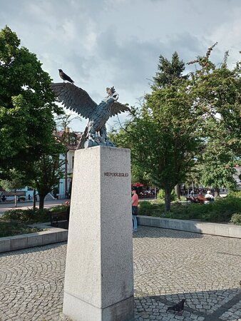 Plac Wolności景点图片