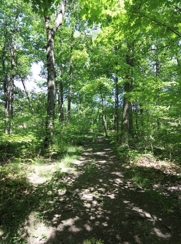 Burgoyne Woods Park
