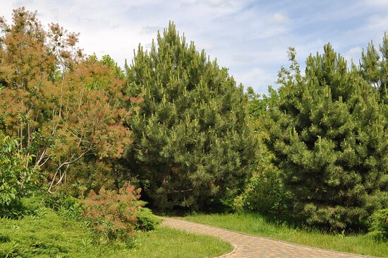 Walnut Grove Park-阿纳帕必去景点