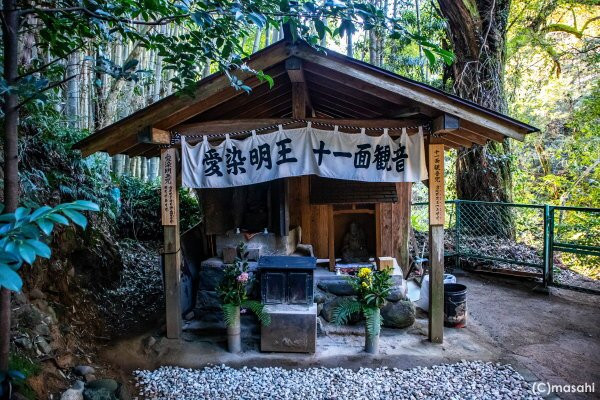 Shinryu Hachidaio Shrine-菊池市必去景点