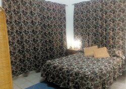 Hostal La Bugambilia主图