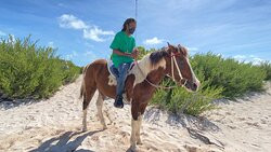 Francis Family Farm-Anegada必去景点