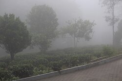 卡梅利天堂度假村-浴室