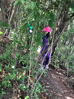 Milne Dam Conservation Park-万锦市必去景点