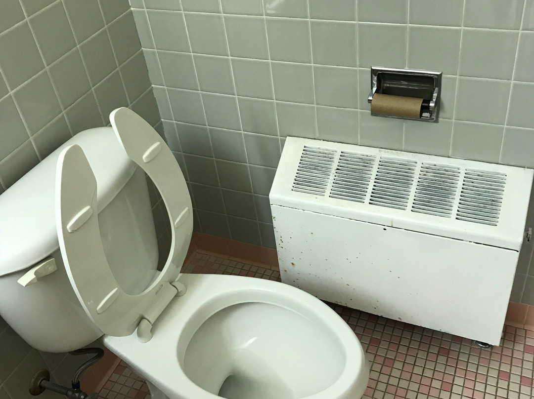 The Cardinal Inn主图