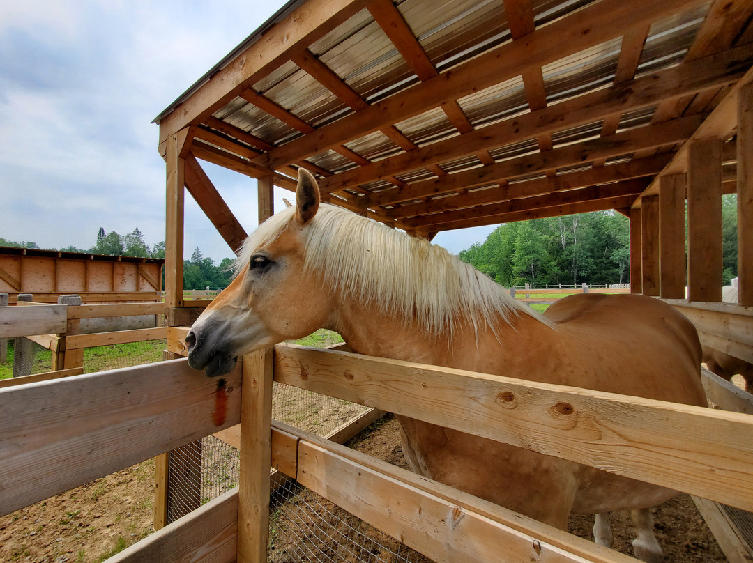 Bel Air Tremblant Resort主图