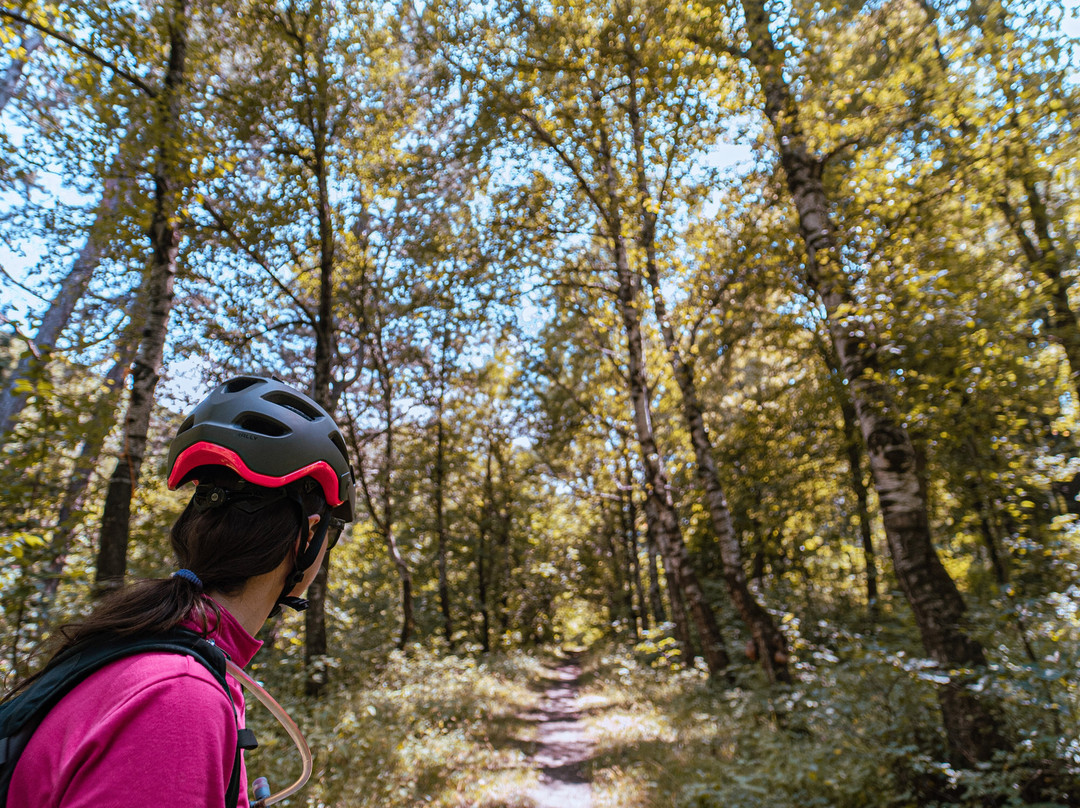 Boo Mountain Bike Park